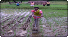 sustainableagriculturaltraining